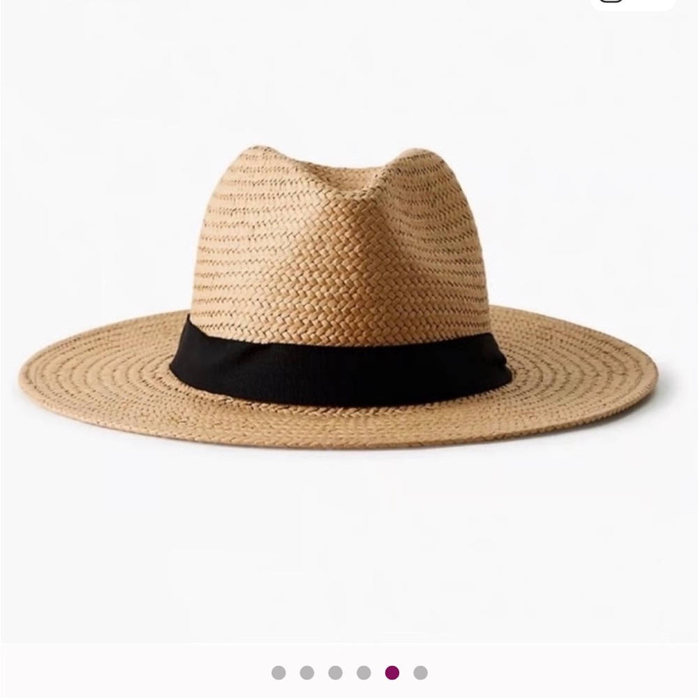 ARITZIA auxiliary Brown Straw Hat